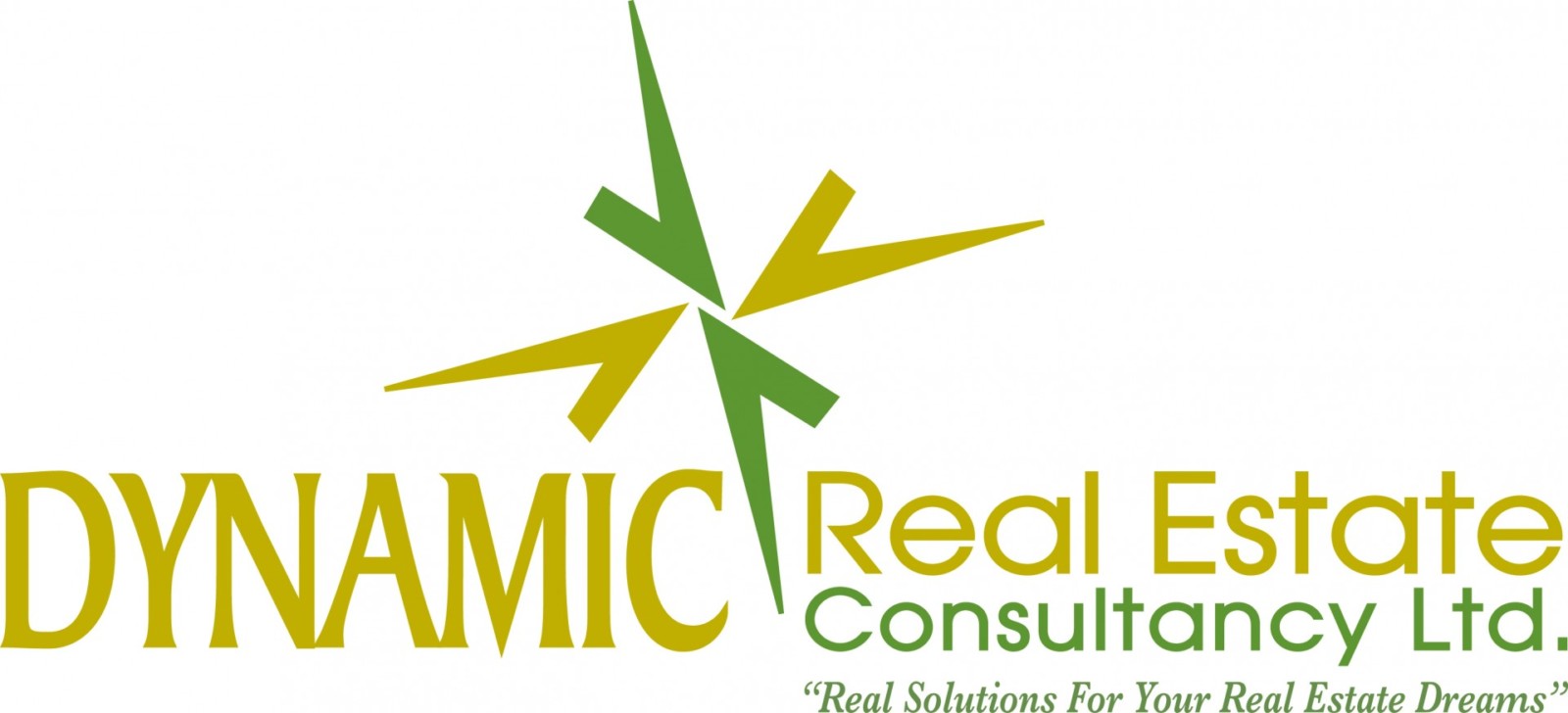 Dynamic Real Estate Consultancy Ltd Real Solutions For Your Real Estate Dreams