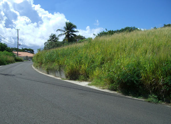 The Ridge - on Lance aux Epines main road