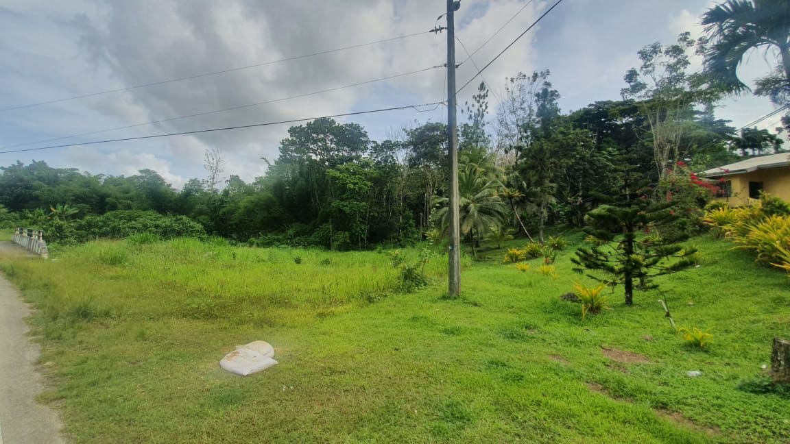 Torrib Trace New Grant Land For Sale